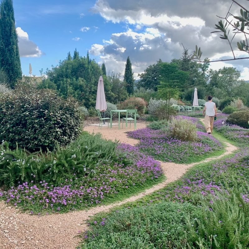 Services at Wanderlust Psychiatry